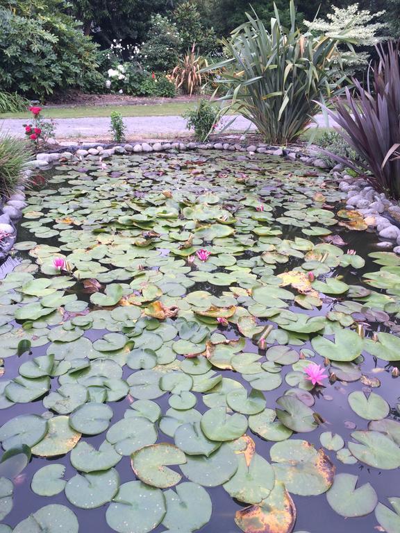 Water Lily Garden Bed & Breakfast Christchurch Bagian luar foto